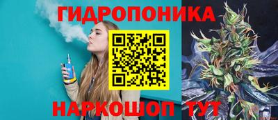 PSILOCYBIN Краснознаменск