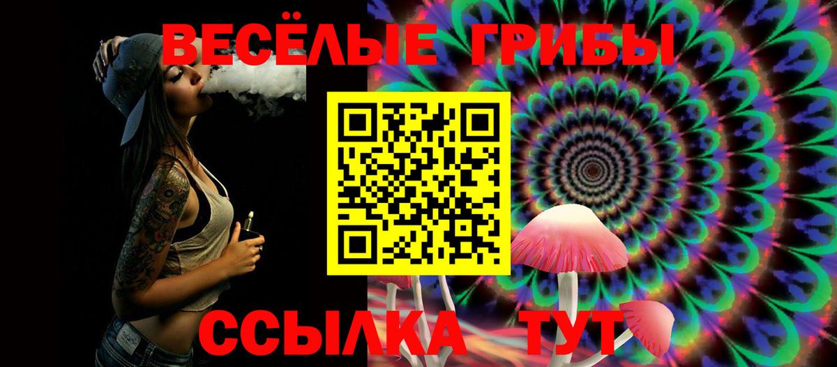 Кропоткин  сколько стоит  Вход с VPN  Галлюциногенные грибы Psilocybe 