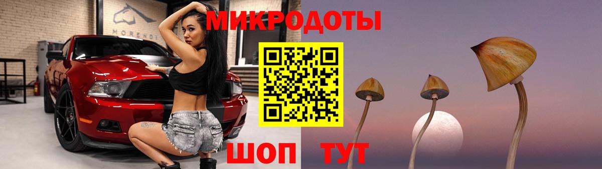 Псилоцибиновые грибы Cubensis Кропоткин